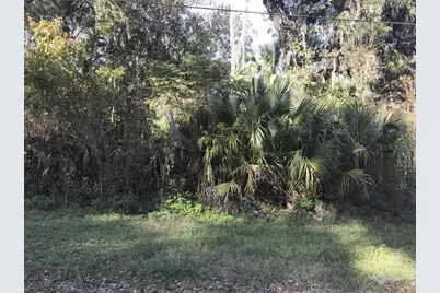 Lot 13, Lake Panasoffkee, FL 33538 - Photo 1