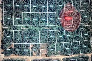 228 Colleen Ln, Lake Placid, FL 33852 - Photo 1