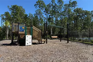 14415 Crest Palm Ave, Windermere, FL 34786 - Photo 50