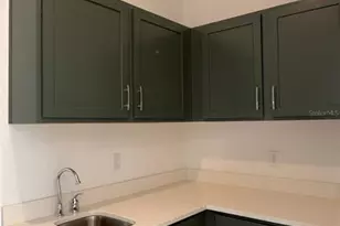 14415 Crest Palm Ave, Windermere, FL 34786 - Photo 42