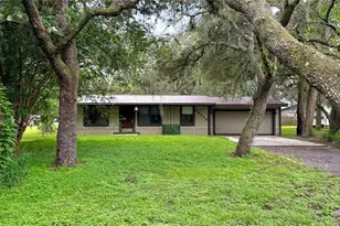 33248 Ridge Manor Blvd, Dade City, FL 33523 - Photo 1