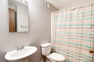 33248 Ridge Manor Blvd, Dade City, FL 33523 - Photo 6