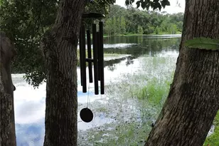 2312 Hillside Dr, Mount Dora, FL 32757 - Photo 16