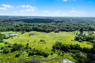 7466 Vivian Ln, Orlando, FL 32818 - Photo 6