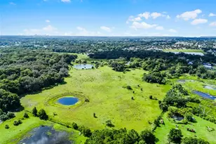 7466 Vivian Ln, Orlando, FL 32818 - Photo 8