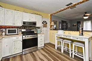 521 Michigan St, Mount Dora, FL 32757 - Photo 4