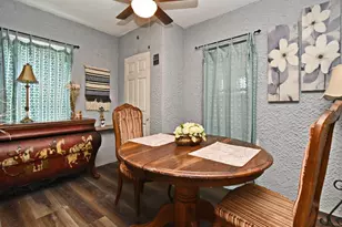 521 Michigan St, Mount Dora, FL 32757 - Photo 8