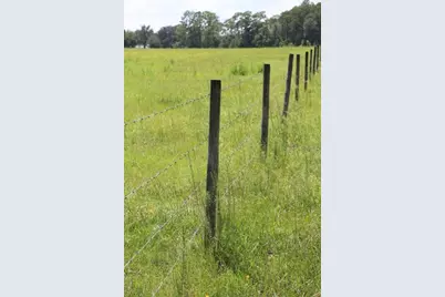 Green Swamp Road, Clermont, FL 34714 - Photo 1