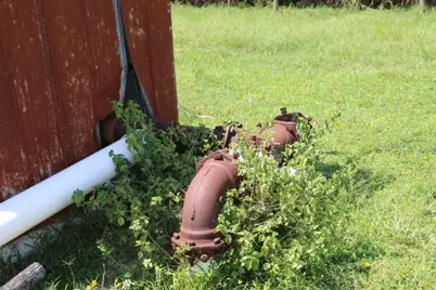 Green Swamp Road, Clermont, FL 34714 - Photo 20