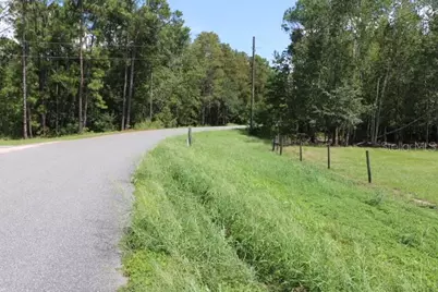 Green Swamp Road, Clermont, FL 34714 - Photo 8