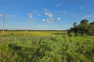 International Dr, Orlando, FL 32821 - Photo 1