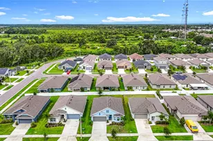 14917 Tropical Violet Wy, Wimauma, FL 33598 - Photo 6