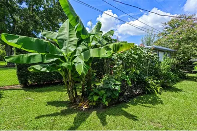 4028 Ibis Drive, Orlando, FL 32803 - Photo 34