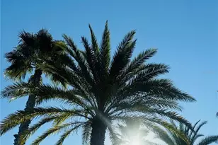 1144 Deer Creek Blvd, Davenport, FL 33837 - Photo 50