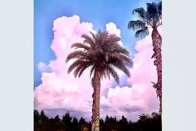 1144 Deer Creek Boulevard, Davenport, FL 33837 - Photo 44