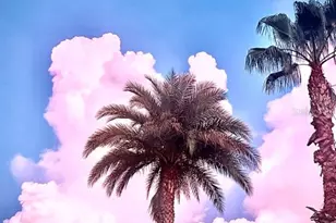 1144 Deer Creek Blvd, Davenport, FL 33837 - Photo 44