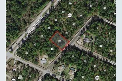 8545 N Wallingford Avenue, Dunnellon, FL 34434 - Photo 2