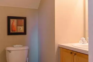 8110 Fan Palm Way, Kissimmee, FL 34747 - Photo 46