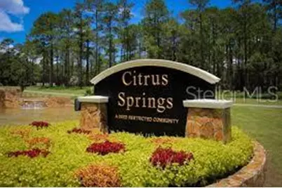 491 E Nemo Drive, Dunnellon, FL 34434 - Photo 4