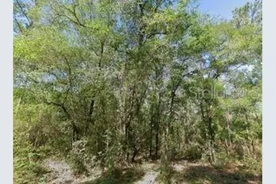 491 E Nemo Drive, Dunnellon, FL 34434 - Photo 1