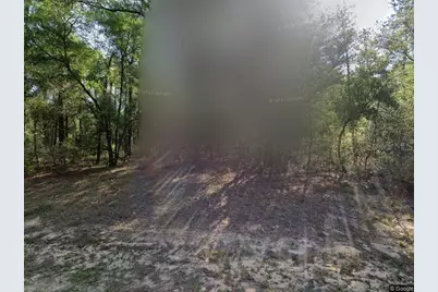 491 E Nemo Drive, Dunnellon, FL 34434 - Photo 2