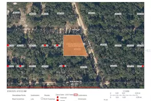 Topper St, Interlachen, FL 32148 - Photo 1