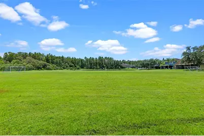 14208 Morning Frost Drive, Orlando, FL 32828 - Photo 52