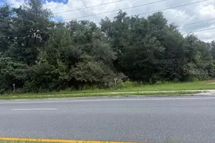 3101 S Goldenrod Rd, Orlando, FL 32822 - Photo 1