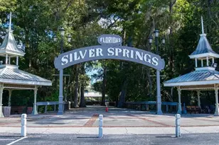 18 Hemlock Circle Pass, Ocala, FL 34472 - Photo 24