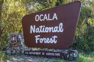 18 Hemlock Circle Pass, Ocala, FL 34472 - Photo 28