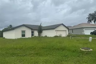 521 Big Black Way, Kissimmee, FL 34759 - Photo 2