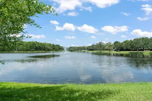 9436 Walnut Crest Dr, Orlando, FL 32832 - Photo 64