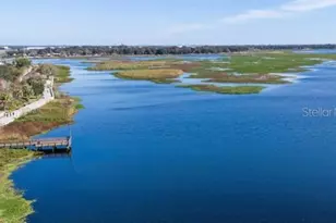 2011 Myrtle Pine St, Kissimmee, FL 34746 - Photo 22