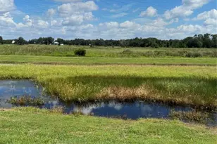 12040 Lakeshore Wy, Oxford, FL 34484 - Photo 16