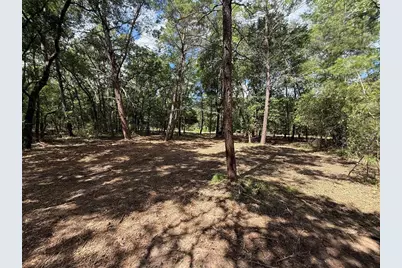 516 Shappell Avenue, Interlachen, FL 32148 - Photo 4