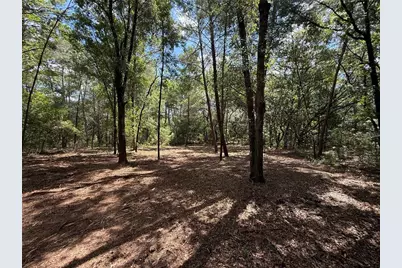 516 Shappell Avenue, Interlachen, FL 32148 - Photo 2