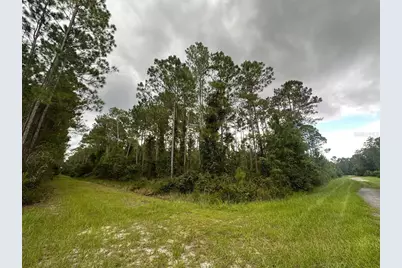 401 Dogwood Avenue, Georgetown, FL 32139 - Photo 2