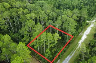 401 Dogwood Ave, Georgetown, FL 32139 - Photo 1