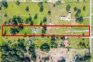 4198 Ondich Rd, Apopka, FL 32712 - Photo 4