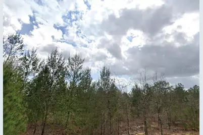 Lime Way, Interlachen, FL 32148 - Photo 4