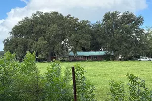 6896 Cr 619, Bushnell, FL 33513 - Photo 2