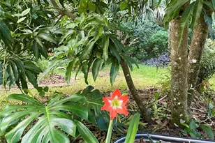 2111 Rocky Bluff Ct, Oviedo, FL 32765 - Photo 38