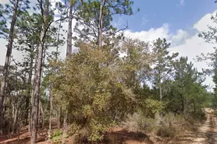 Akron St, Interlachen, FL 32148 - Photo 1