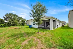 2497 Ribbon Fall Ave, Davenport, FL 33837 - Photo 28