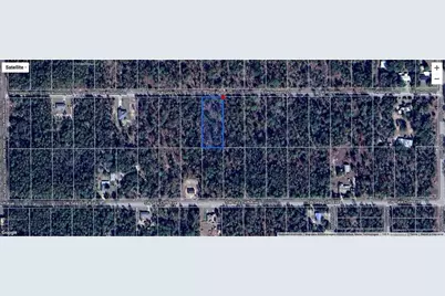 00 SW Blue Berry Lane #Lot 11, Dunnellon, FL 34431 - Photo 6