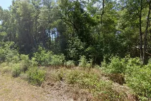 00 SW Starling Dr, Dunnellon, FL 34431 - Photo 1