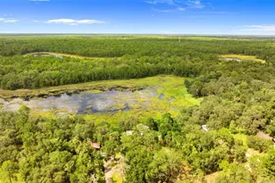 15375 SE 64th Pl, Ocklawaha, FL 32179 - Photo 32