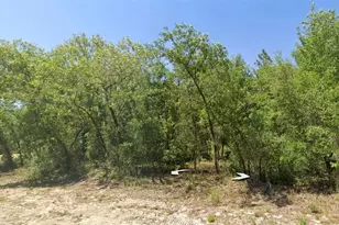 Rainbow Lakes Blvd, Dunnellon, FL 34431 - Photo 1