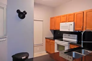 8539 Bay Lilly Loop, Kissimmee, FL 34747 - Photo 6