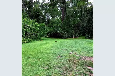2380 Shepherd Avenue, Saint Cloud, FL 34771 - Photo 10
